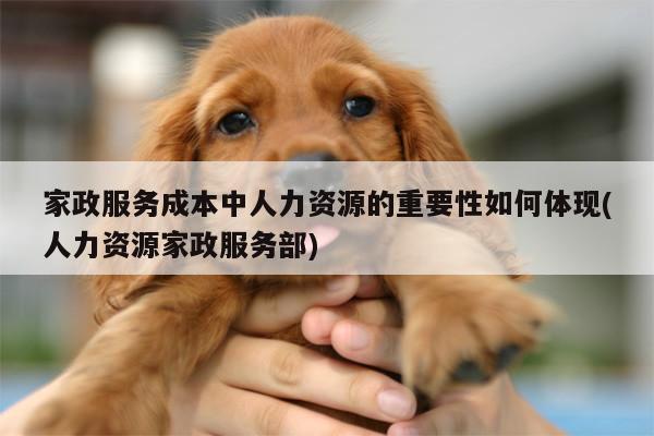 家政服务成本中人力资源的重要性如何体现(人力资源家政服务部)