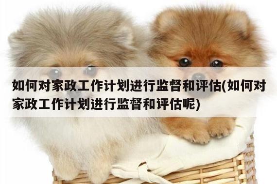 如何对家政工作计划进行监督和评估(如何对家政工作计划进行监督和评估呢)