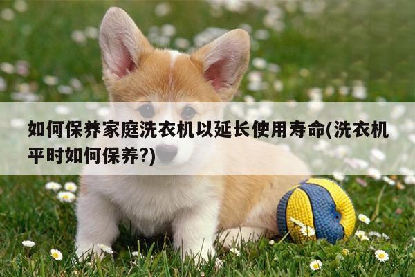 如何保养家庭洗衣机以延长使用寿命(洗衣机平时如何保养?)
