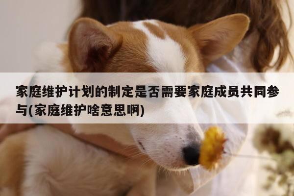 家庭维护计划的制定是否需要家庭成员共同参与(家庭维护啥意思啊)