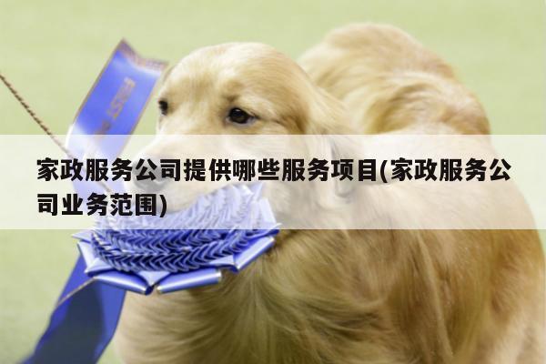 家政服务公司提供哪些服务项目(家政服务公司业务范围)