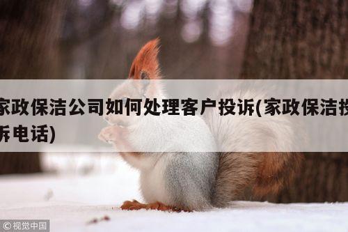 家政保洁公司如何处理客户投诉(家政保洁投诉电话)