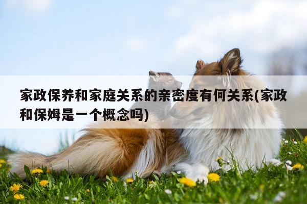 家政保养和家庭关系的亲密度有何关系(家政和保姆是一个概念吗)