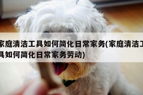 家庭清洁工具如何简化日常家务(家庭清洁工具如何简化日常家务劳动)