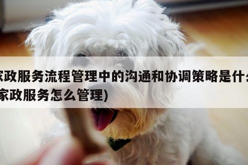 家政服务流程管理中的沟通和协调策略是什么(家政服务怎么管理)