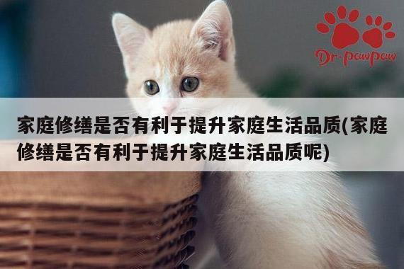 家庭修缮是否有利于提升家庭生活品质(家庭修缮是否有利于提升家庭生活品质呢)