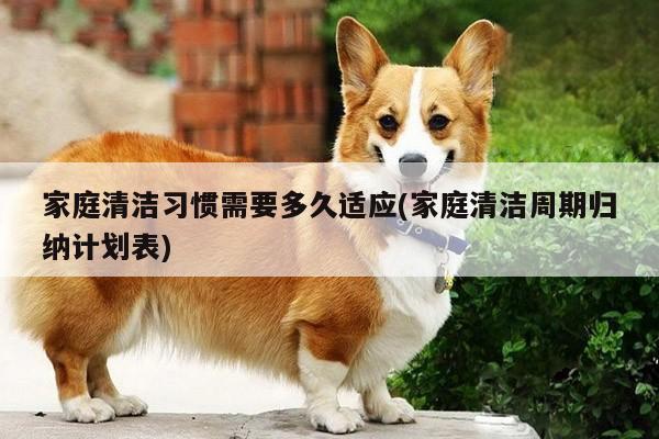 家庭清洁习惯需要多久适应(家庭清洁周期归纳计划表)