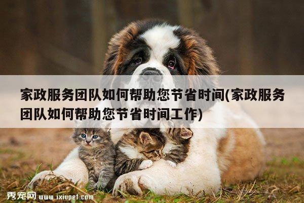 家政服务团队如何帮助您节省时间(家政服务团队如何帮助您节省时间工作)