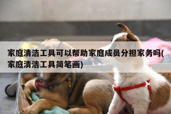家庭清洁工具可以帮助家庭成员分担家务吗(家庭清洁工具简笔画)