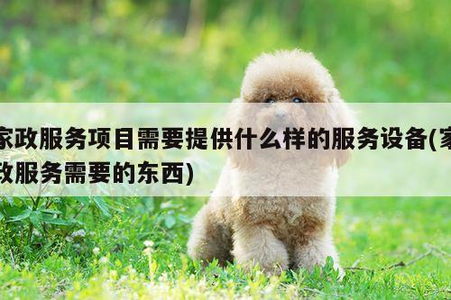 家政服务项目需要提供什么样的服务设备(家政服务需要的东西)