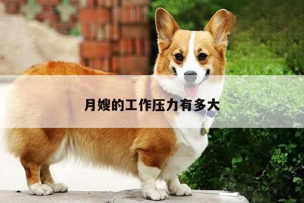 月嫂的工作压力有多大