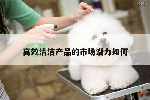 高效清洁产品的市场潜力如何