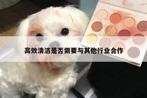 高效清洁是否需要与其他行业合作