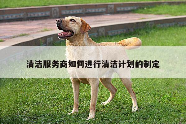 清洁服务商如何进行清洁计划的制定